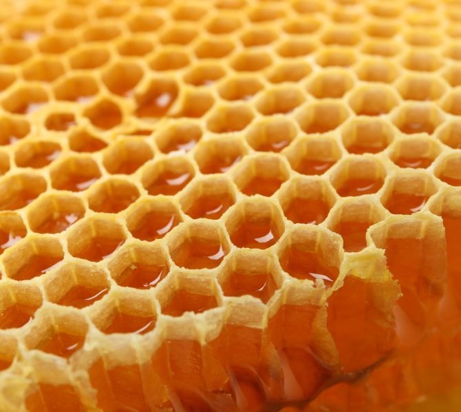 fresh-honeycomb-on-whole-background-close-up.jpg